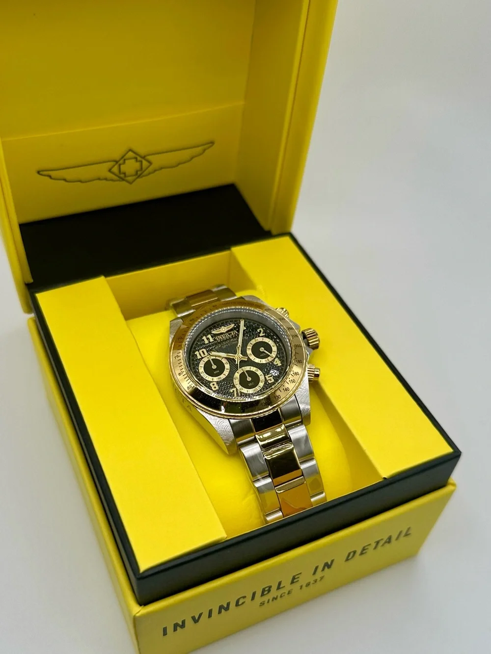Invicta speedway torvane